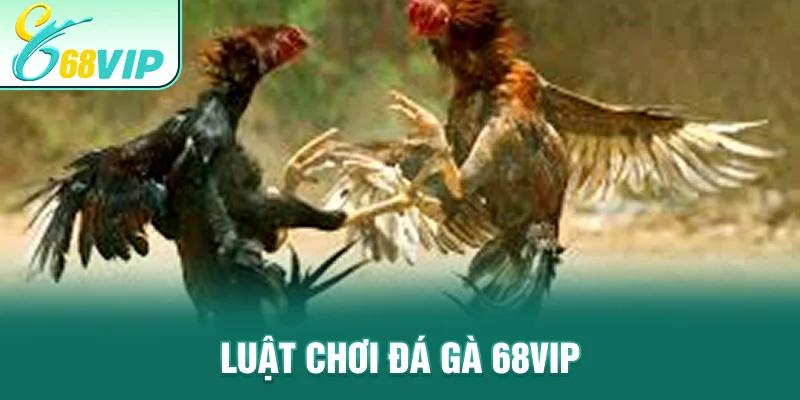 Luật chơi đá gà 68VIP
